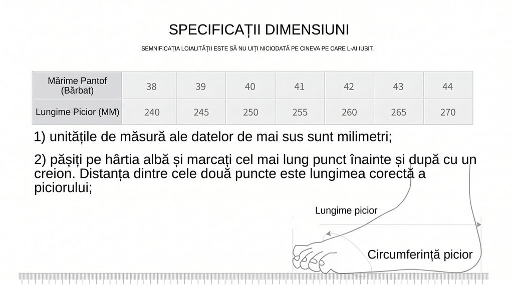 Pantofi Sport Ortopedici OrtoPas® Slip-On – Respirabili, Fără Șireturi, Suport Anatomic & Talpă Anti-Șoc (Bărbați)