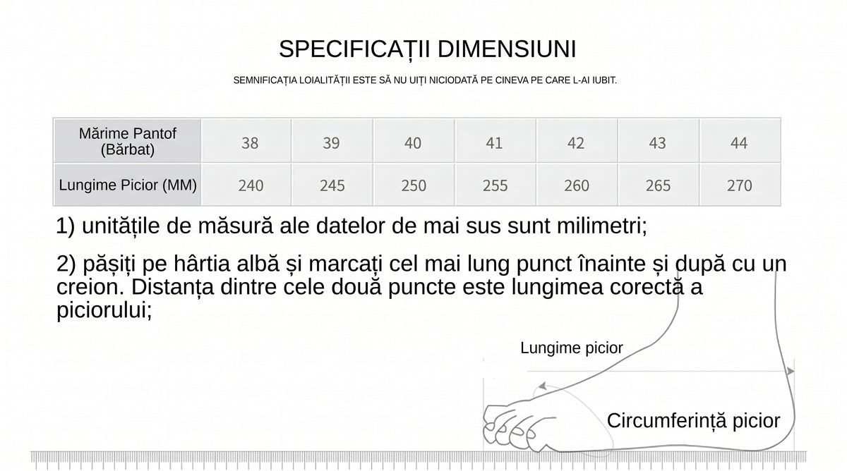 Pantofi Sport Ortopedici OrtoPas® Slip-On – Respirabili, Fără Șireturi, Suport Anatomic & Talpă Anti-Șoc (Bărbați)